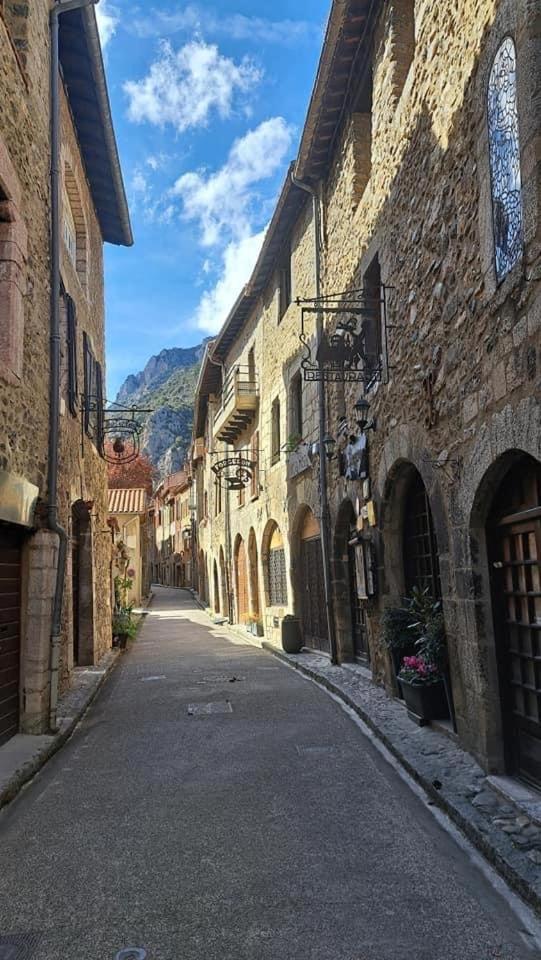 Maison Les Ramparts Вилфранш-дьо-Конфлон Екстериор снимка